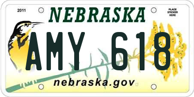 NE license plate AMY618