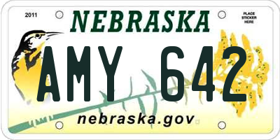 NE license plate AMY642