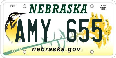 NE license plate AMY655