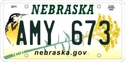 NE license plate AMY673