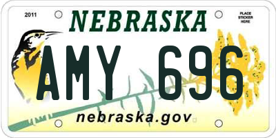 NE license plate AMY696