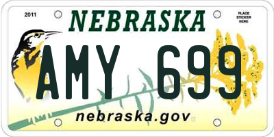 NE license plate AMY699