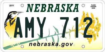 NE license plate AMY712