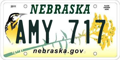 NE license plate AMY717