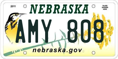 NE license plate AMY808