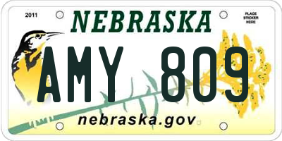 NE license plate AMY809