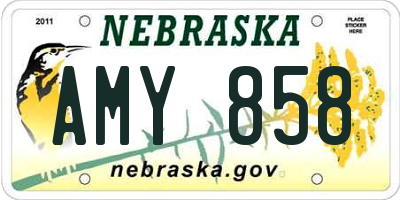 NE license plate AMY858