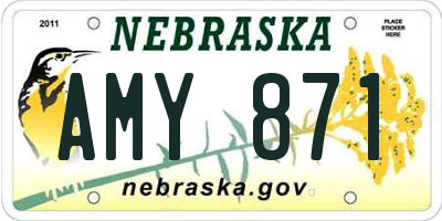 NE license plate AMY871