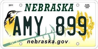 NE license plate AMY899