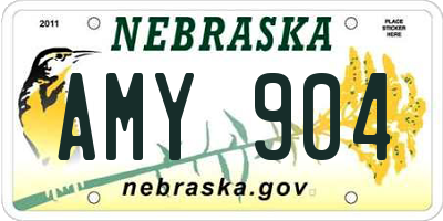 NE license plate AMY904