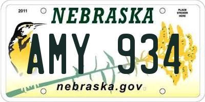 NE license plate AMY934