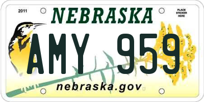 NE license plate AMY959
