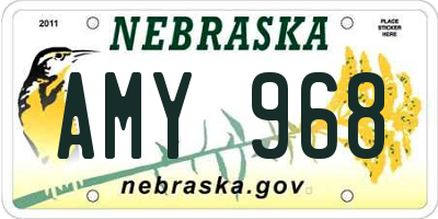 NE license plate AMY968