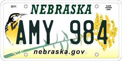 NE license plate AMY984