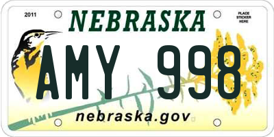 NE license plate AMY998