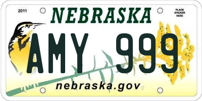 NE license plate AMY999