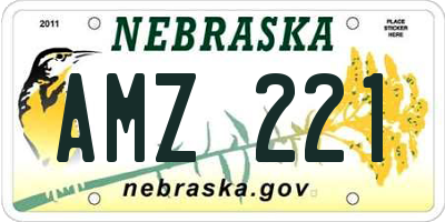 NE license plate AMZ221