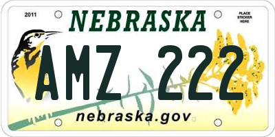 NE license plate AMZ222