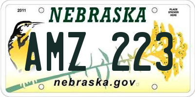 NE license plate AMZ223