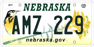 NE license plate AMZ229