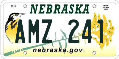 NE license plate AMZ241