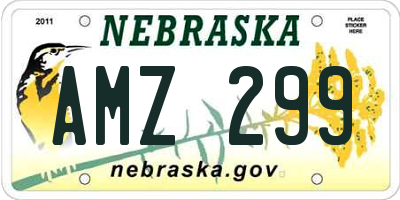 NE license plate AMZ299