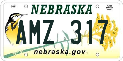 NE license plate AMZ317