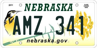 NE license plate AMZ341