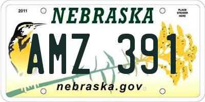 NE license plate AMZ391