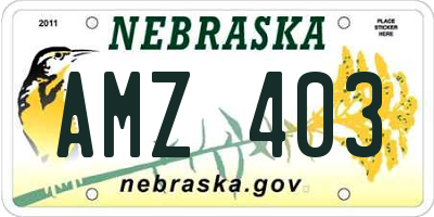NE license plate AMZ403