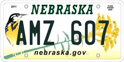 NE license plate AMZ607
