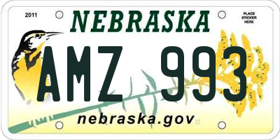 NE license plate AMZ993