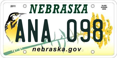 NE license plate ANA098