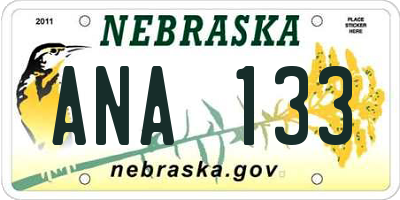 NE license plate ANA133