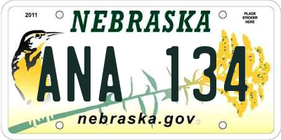 NE license plate ANA134