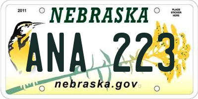 NE license plate ANA223