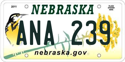 NE license plate ANA239