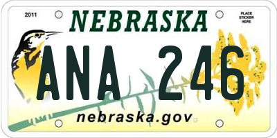 NE license plate ANA246