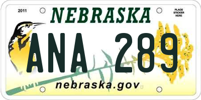 NE license plate ANA289
