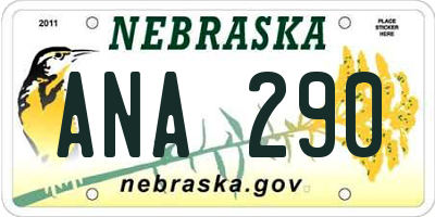 NE license plate ANA290
