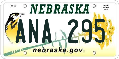 NE license plate ANA295