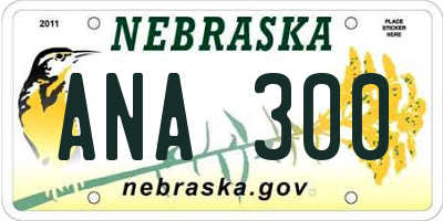 NE license plate ANA300
