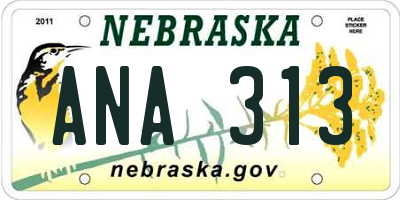 NE license plate ANA313