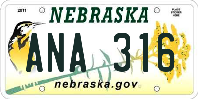 NE license plate ANA316