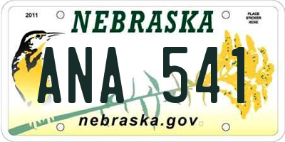 NE license plate ANA541