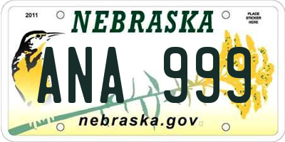 NE license plate ANA999