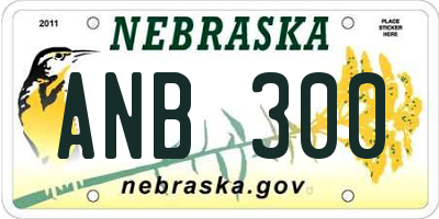 NE license plate ANB300