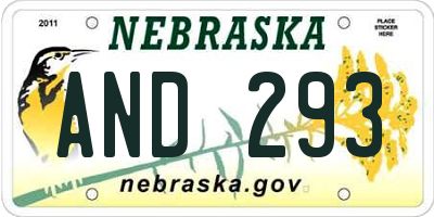 NE license plate AND293