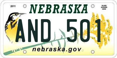 NE license plate AND501