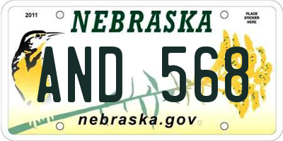 NE license plate AND568